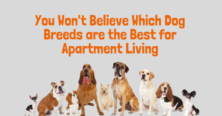 Best Dog Breeds for Your Apartment