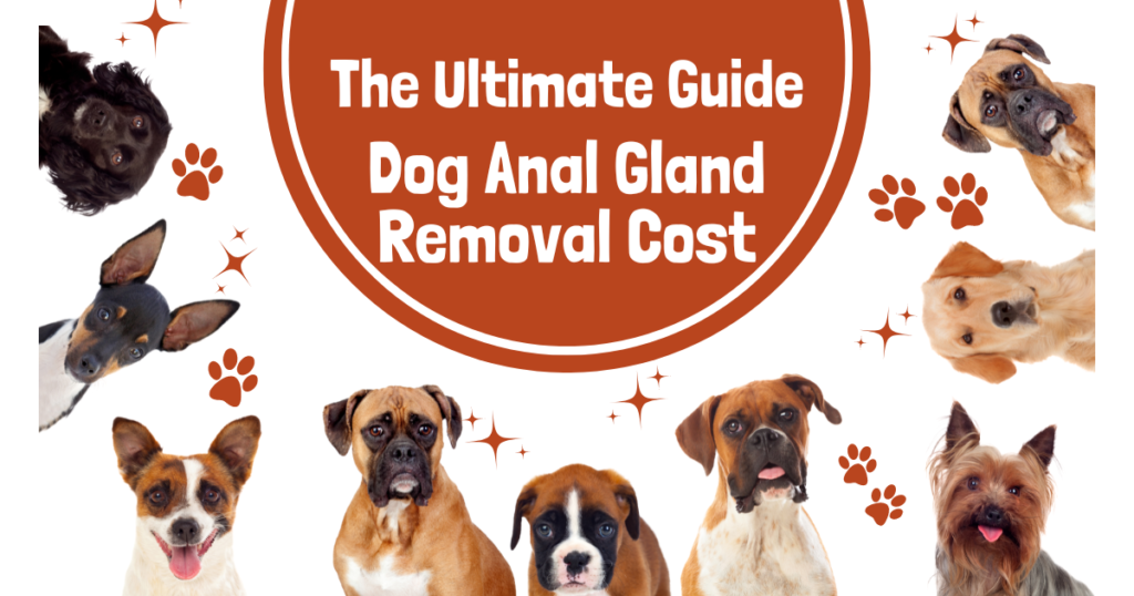 The Ultimate Guide Dog Anal Gland Removal Cost An InDepth Guide