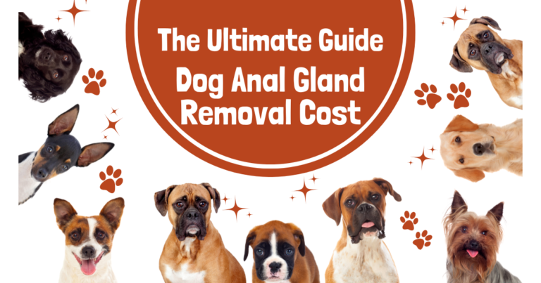 Dog Anal Gland Removal Cost