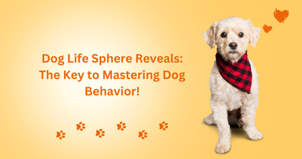 Dog Training Secrets 