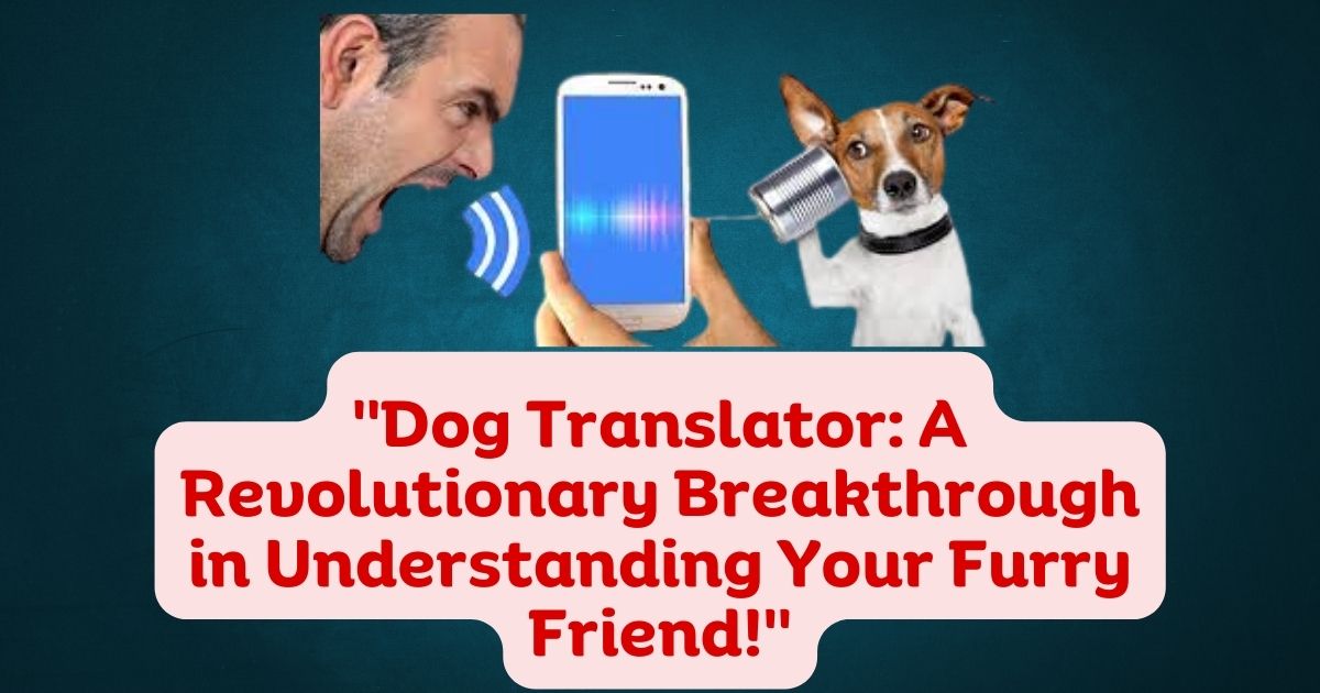 Visualization of dog speech patterns analysis