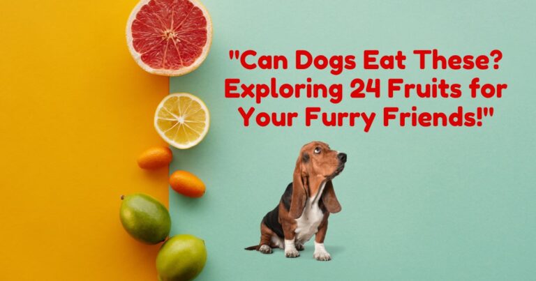 What fruits Can Dogs Eat